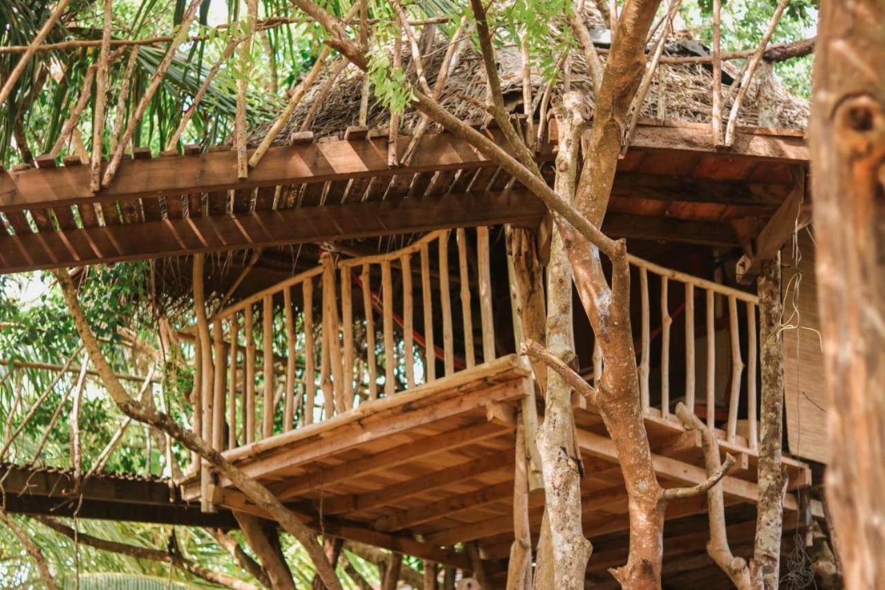 Mamba Yala Hotel Tissamaharama Exterior photo